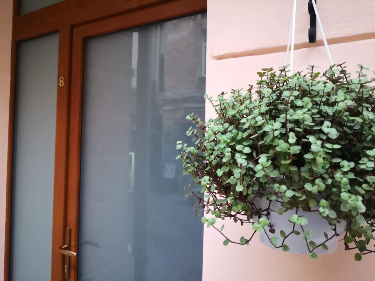 Затишні Апартаменти, Вулиця Дерибасівська, 13 Odessa Exterior foto